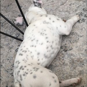 Meet your Posher, Shila